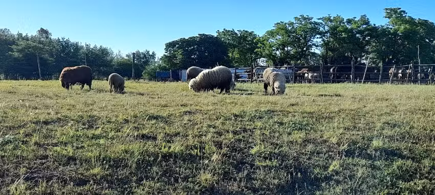 Escuela Primaria Común N 23 Provincia de Entre Ríos