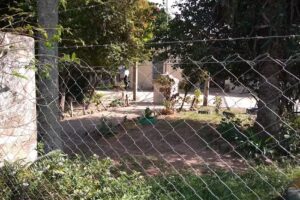 Escuela Primaria Comun Nº 426 Prof Francisco G Sudria