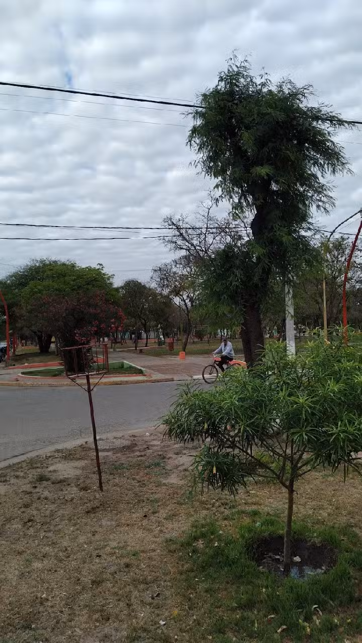Escuela primaria de cardón esquina