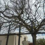 Escuela primaria Domingo Faustino Sarmiento