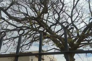 Escuela primaria Domingo Faustino Sarmiento