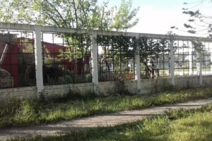 Escuela Primaria Egb 20