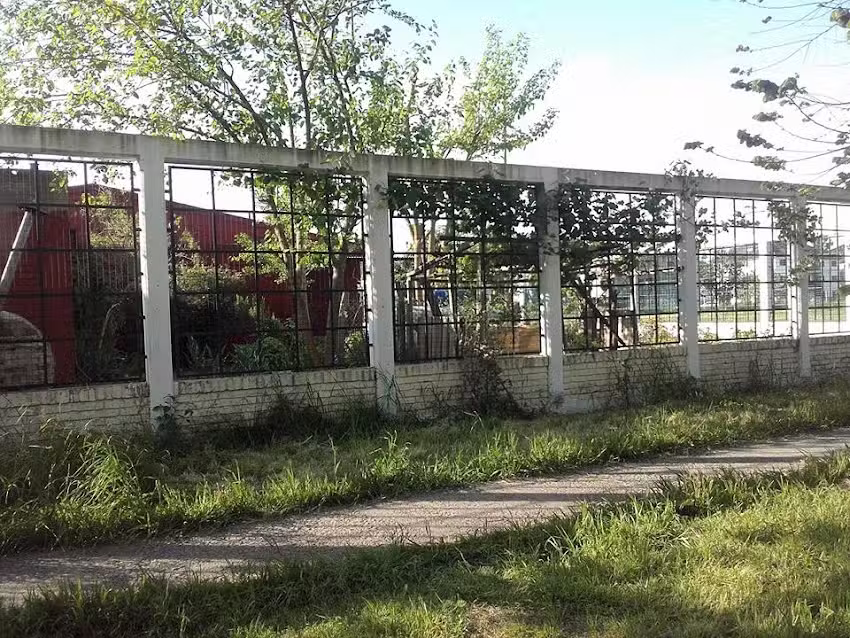 Escuela Primaria Egb 20