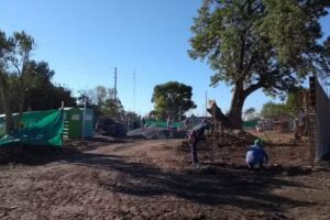 Escuela Primaria Ep N 84