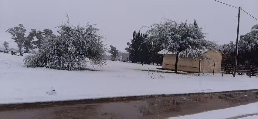 Escuela primaria Fray Moisés Álvarez