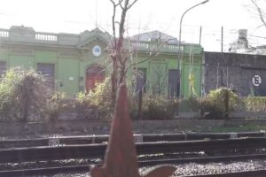 Escuela Primaria Gral Juan A Lavalleja