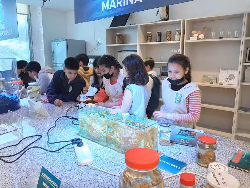 Escuela Primaria N 11 Dr Roberto Noble