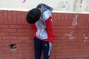 Escuela Primaria N 134