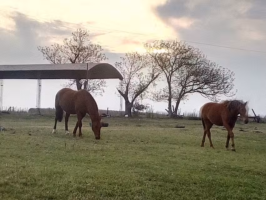 Escuela Primaria N 172 Catamarca