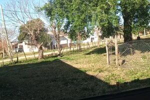 Escuela Primaria N 176 Guillermo Sarabi Secundaria N 72 Bicentenario