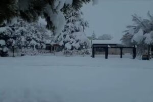 Escuela Primaria N 29 Roberto Hilario Garro Vidal