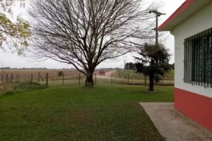 Escuela Primaria N 29 Teodoro Fels