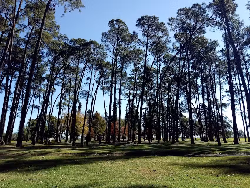 Escuela Primaria N 6377 Evita