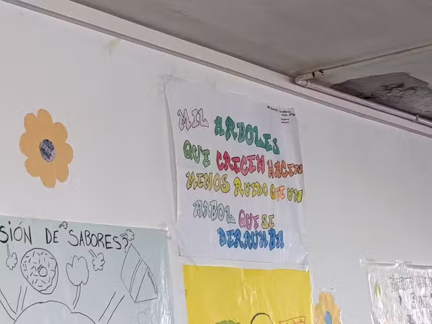 Escuela primaria N 76