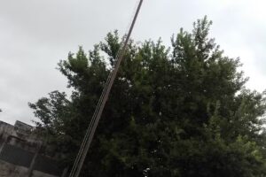 Escuela Primaria N 9 Fray Mamerto Esquiú