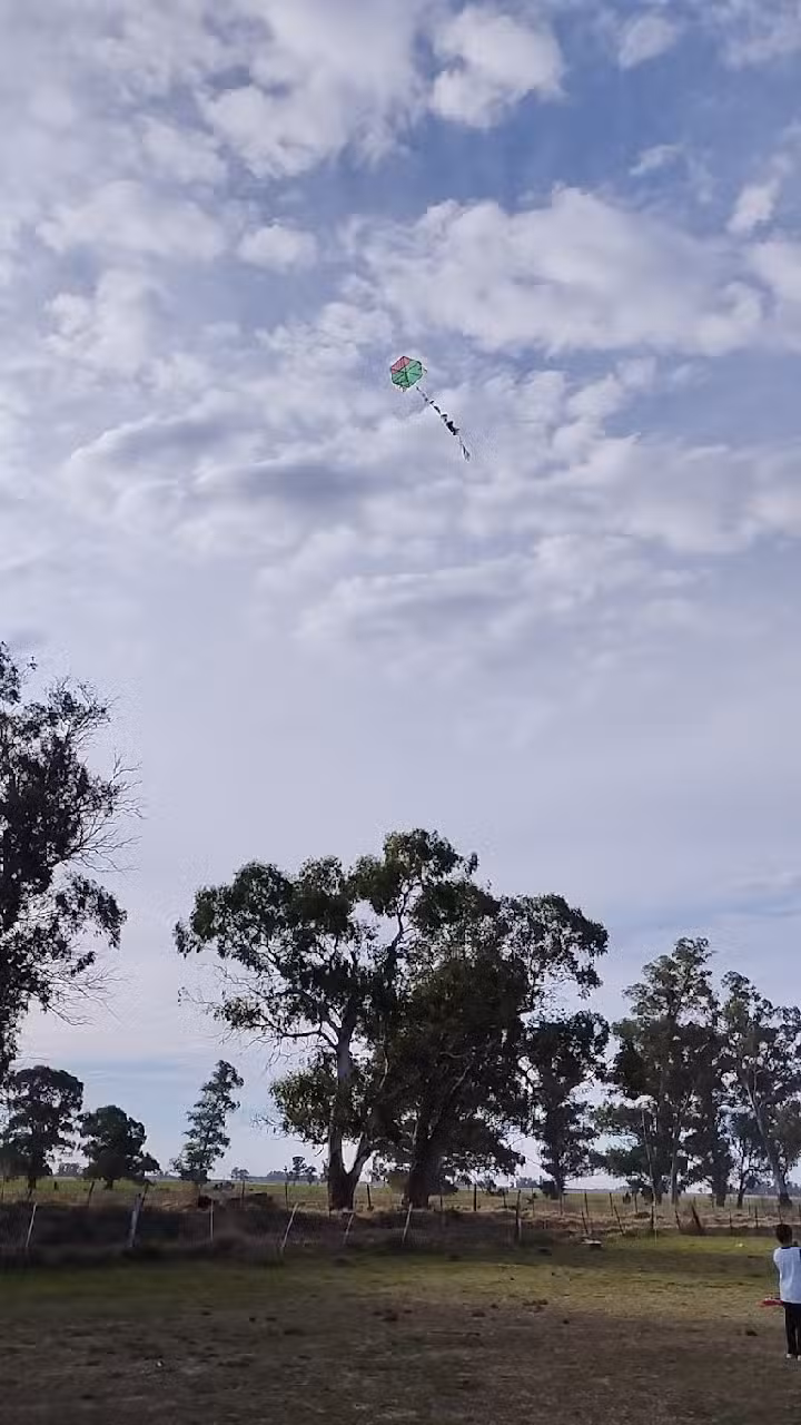 Escuela Primaria N 9 Pje El Moro