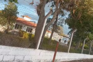 Escuela Primaria N313 Constancio Vigil San Lucas