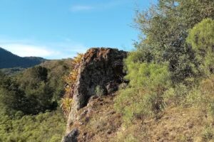 Escuela Primaria N379 Pueblo Ocloya