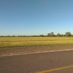 Escuela Primaria N41