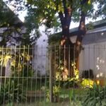 Escuela Primaria N62