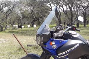 Escuela Primaria Nº 11