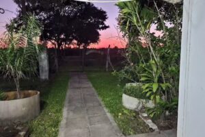 Escuela Primaria Nº 320