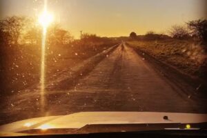 Escuela Primaria Nº 5