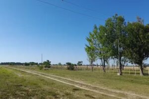 Escuela Primaria Nº 632 Julia C Milessi De Baez