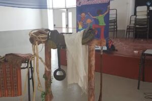 Escuela Primaria Nº356