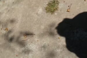 Escuela Primaria Nº48 Francisco Gortari