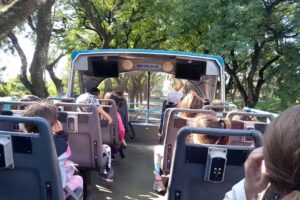 Escuela Primaria Nro 207 Evita