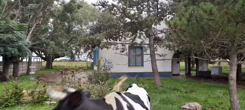 Escuela Primaria Nro 22