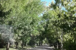 Escuela Primaria Número 11