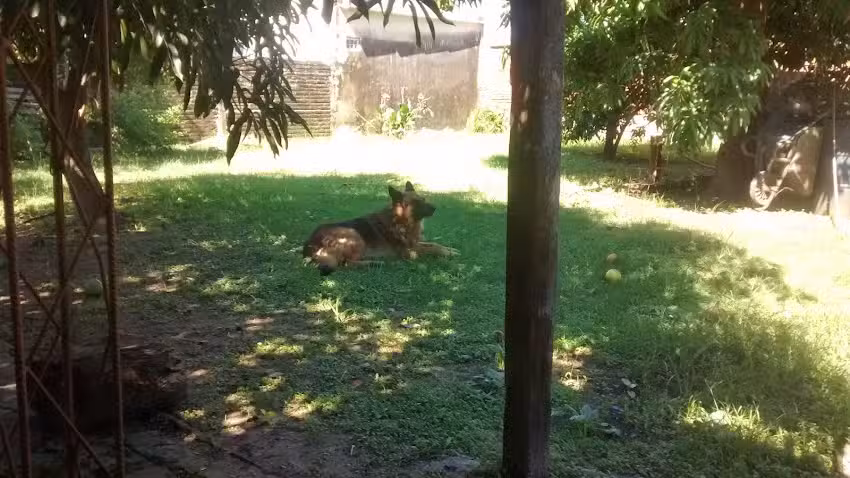 Escuela Primaria Número 207