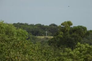 Escuela Privada Nº 103 Ceibos Floridos