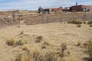 Escuela Provincial Agrotécnica N 14 Cieneguillas