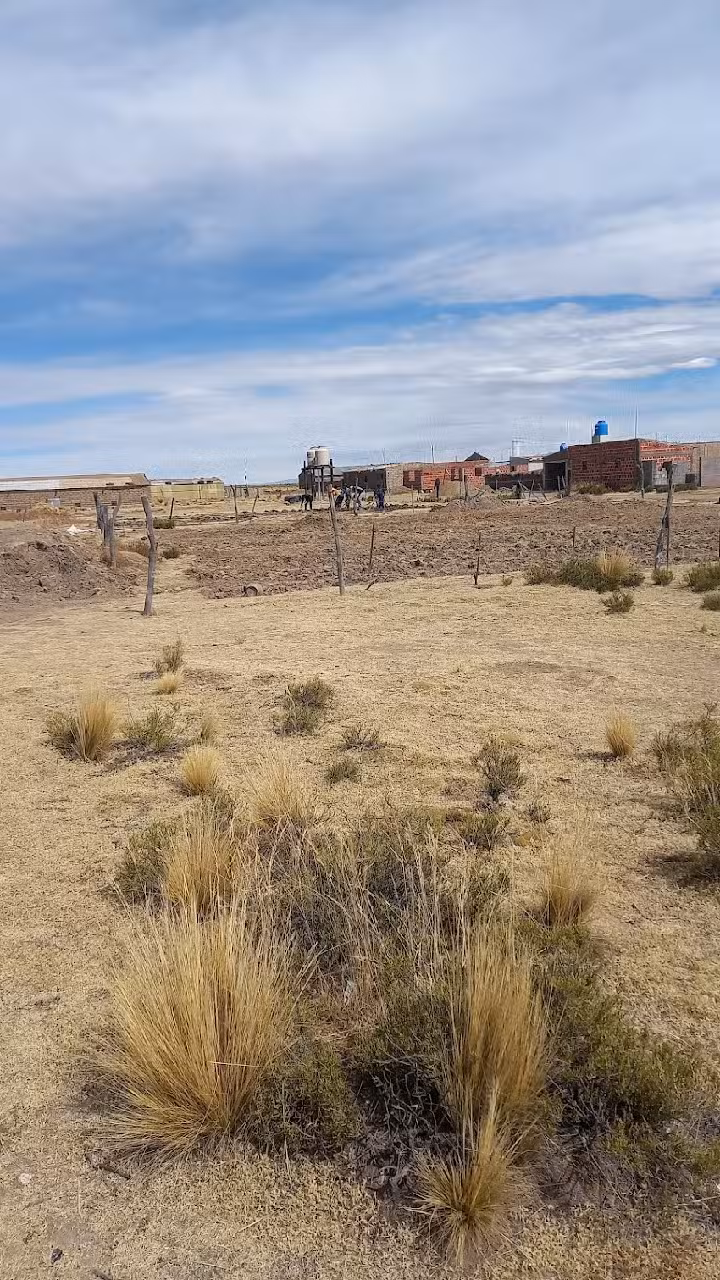 Escuela Provincial Agrotécnica N 14 Cieneguillas