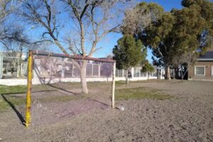 Escuela Provincial N 7733