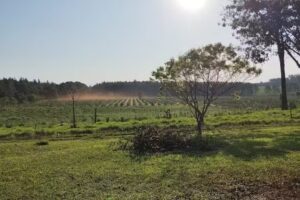 Escuela provincial N 478