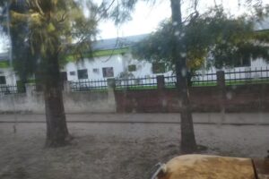 Escuela Provincial N1009