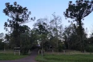 Escuela Provincial N618