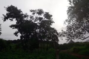 Escuela Provincial Nº 283