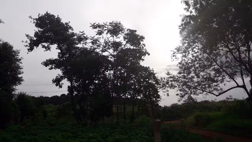 Escuela Provincial Nº 283