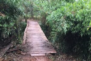 Escuela Provincial Nº 325