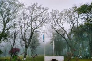 Escuela Provincial Nº 327