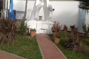 Escuela Pública Digital Albert Einstein