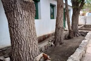 Escuela rural de Alfarcito tilcara