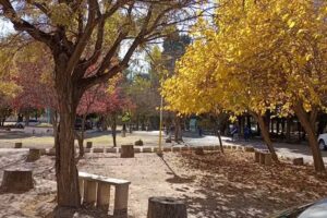 Escuela Santa Maria De Oro