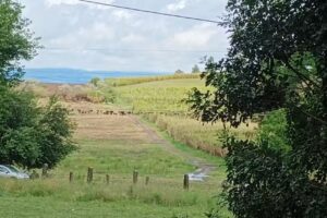 Escuela Secundaria Cañada de Alzogaray