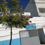 Escuela Secundaria Ees N36